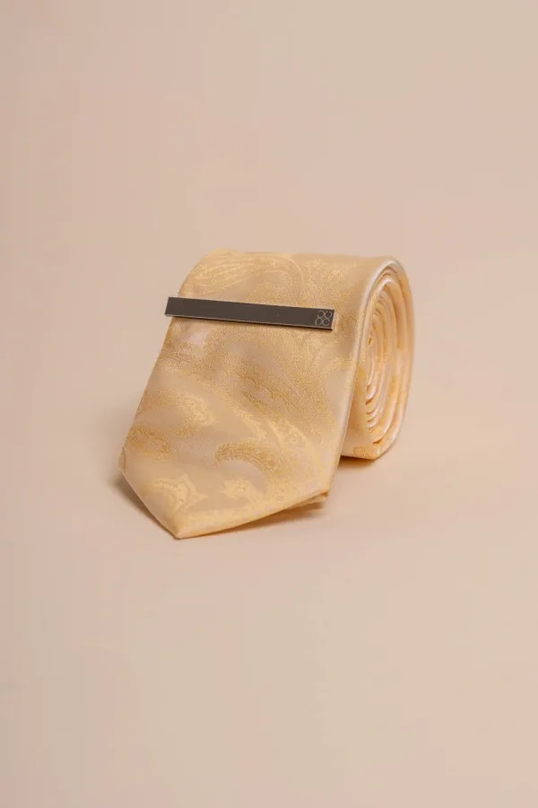 Cavani - Ensemble de Cravate Gold Paisley